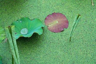 游戏开发商暗示《真人快打》复刻版或正在开发中